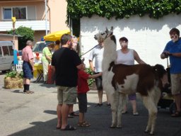 BAuernmarkt in Schaauernheim, vergangene Jahre